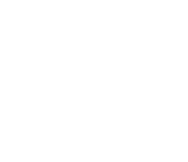 LoSha Strategic Solutions, LLC